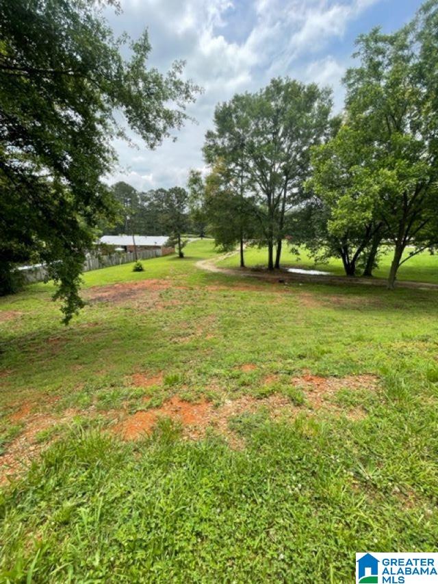 924 Brecon Access Road Talladega, AL 35160 - Photo 2 of 33
