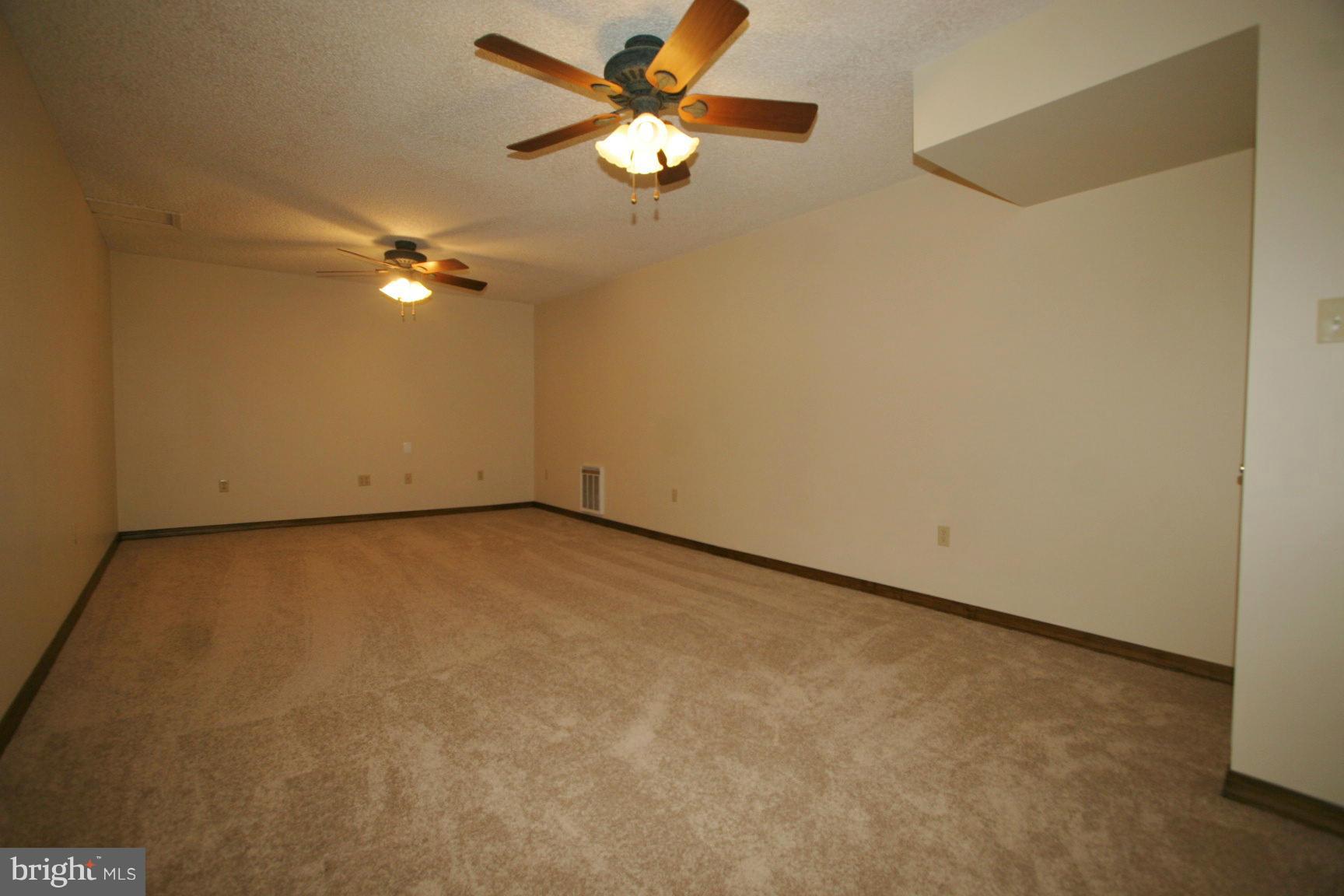 20834 Netz Road Boonsboro, MD 21713 - Photo 14 of 30 an empty room with windows and fan