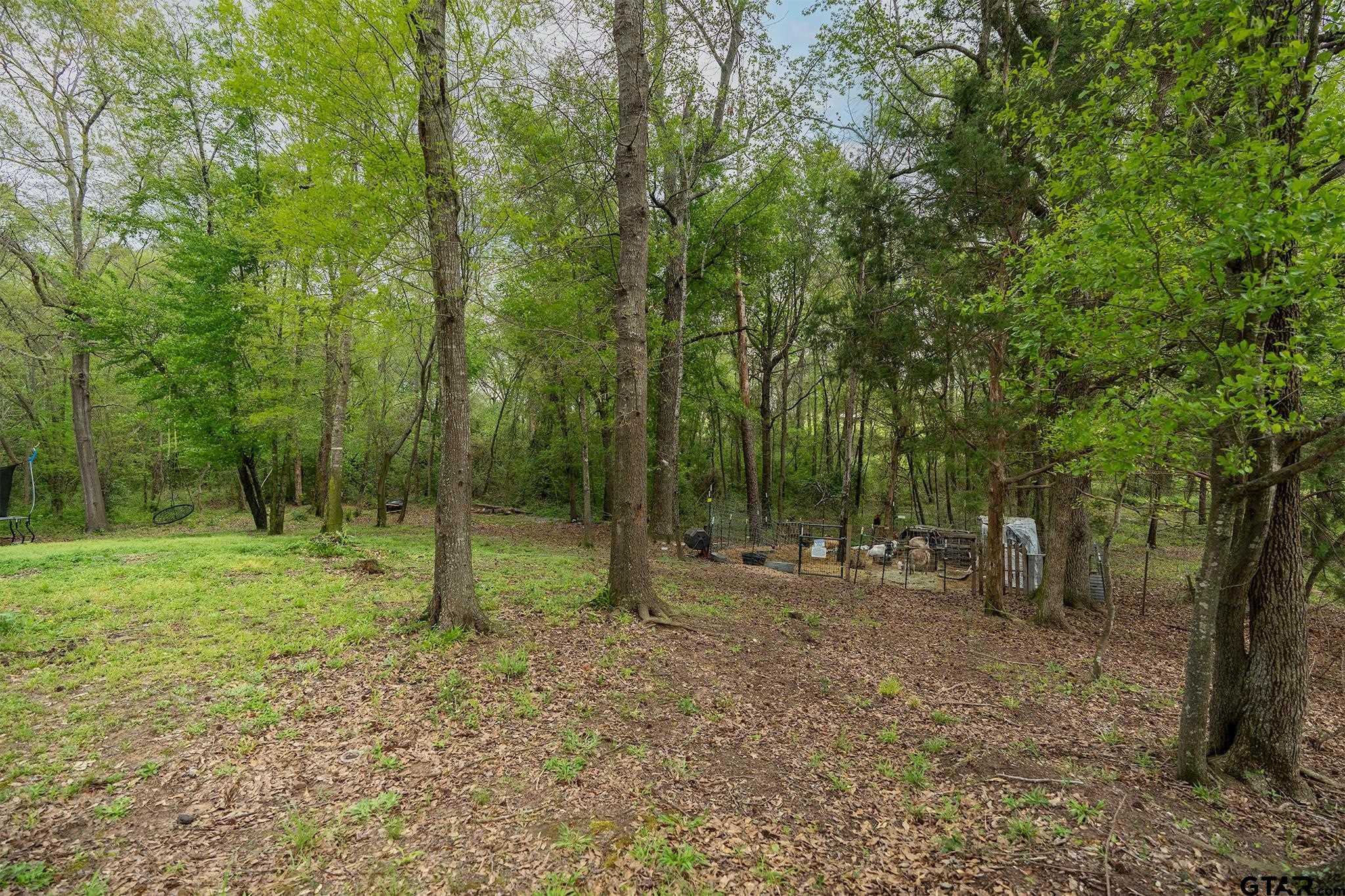 14062 Bent Trail Tyler, TX 75707 - Photo 36 of 46 a view of outdoor space with trees