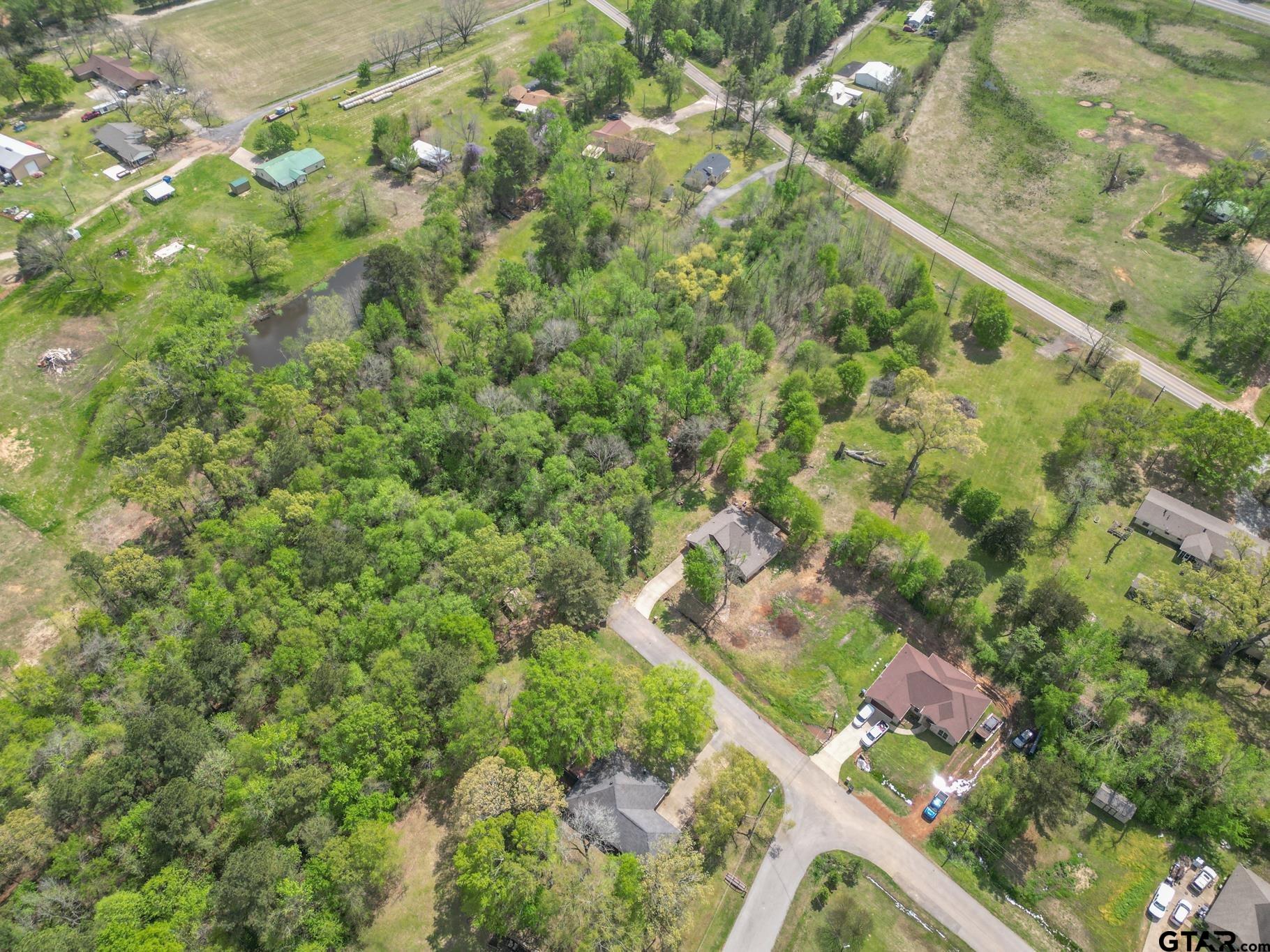 14062 Bent Trail Tyler, TX 75707 - Photo 40 of 46 a view of a city