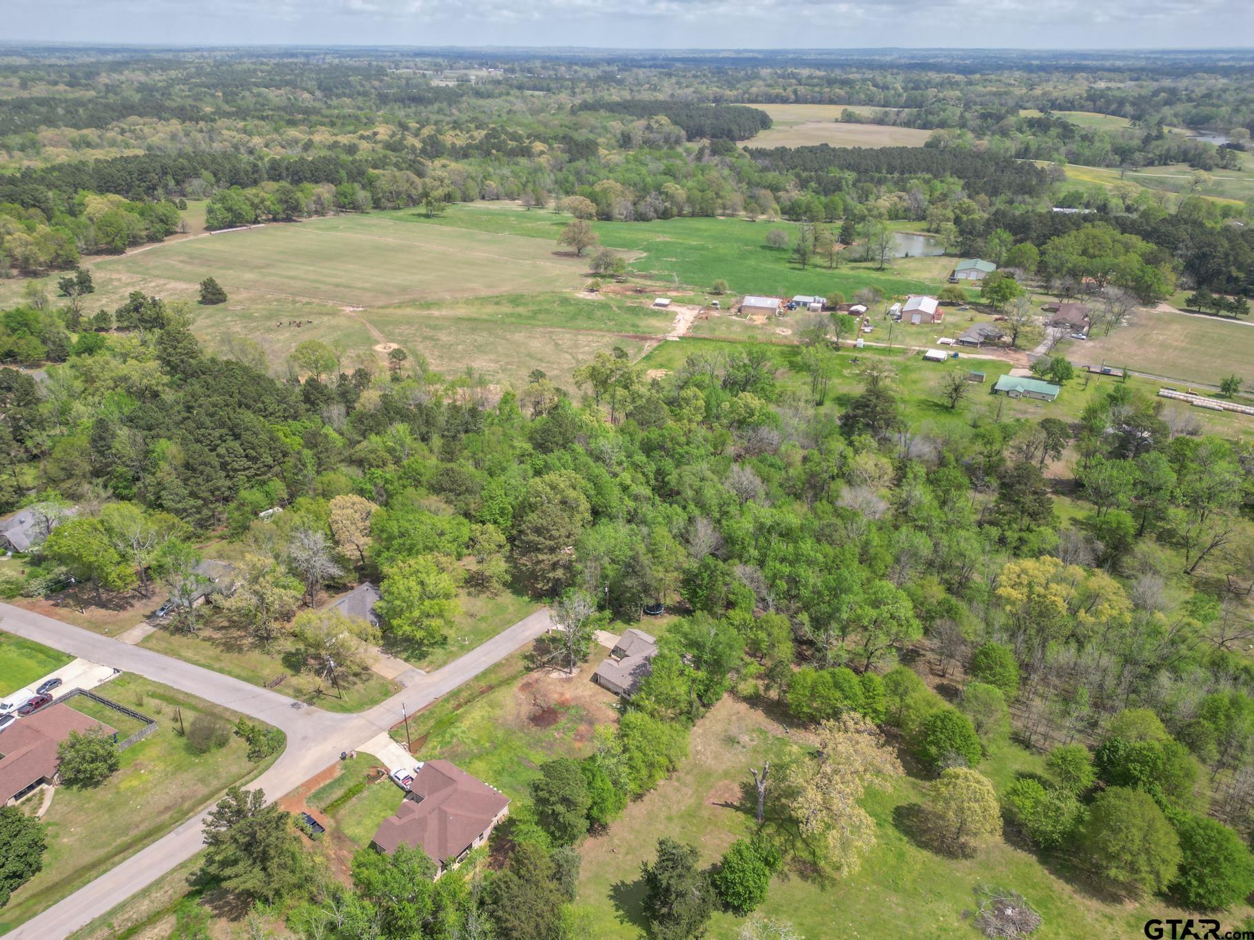 14062 Bent Trail Tyler, TX 75707 - Photo 41 of 46 an aerial view of residential houses with outdoor space