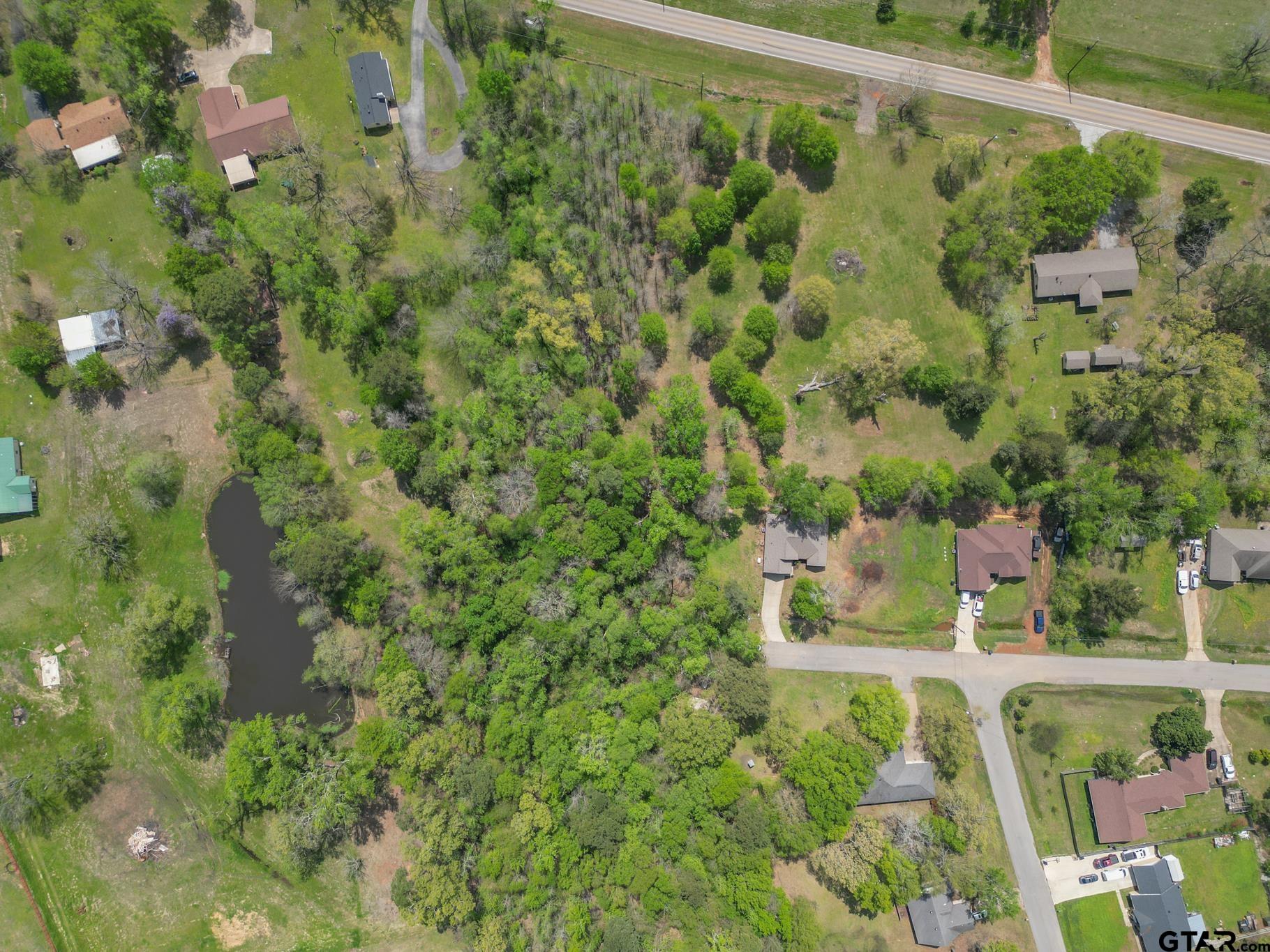 14062 Bent Trail Tyler, TX 75707 - Photo 43 of 46 a view of a yard with plants