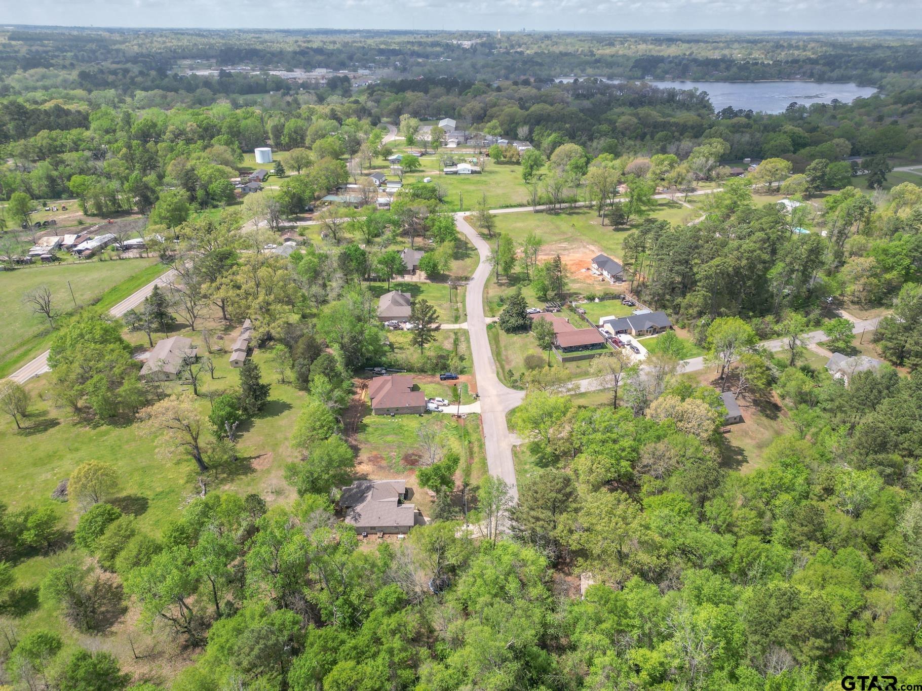 14062 Bent Trail Tyler, TX 75707 - Photo 45 of 46 a view of lake and mountain view