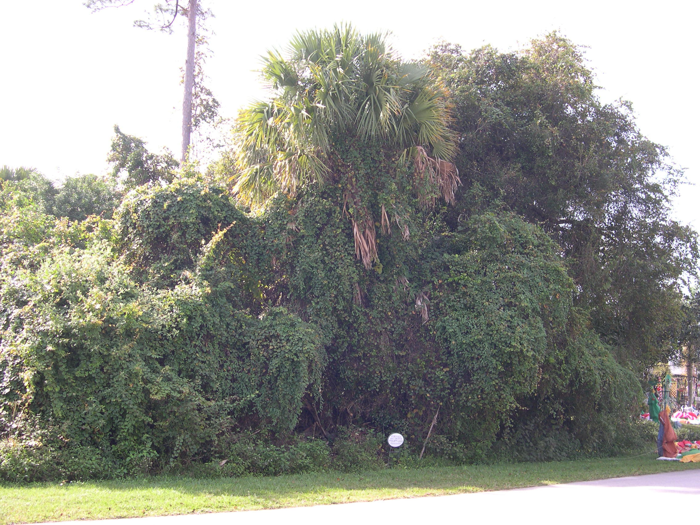 1510 Southwest Apache Ave  