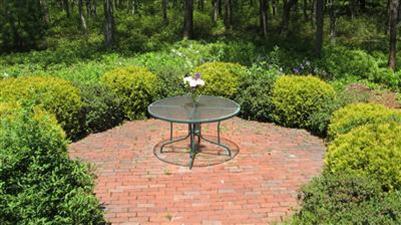 32 Tracey Road Cotuit, MA 02635 - Photo 5 of 28 a view of a backyard with plants and outdoor seating