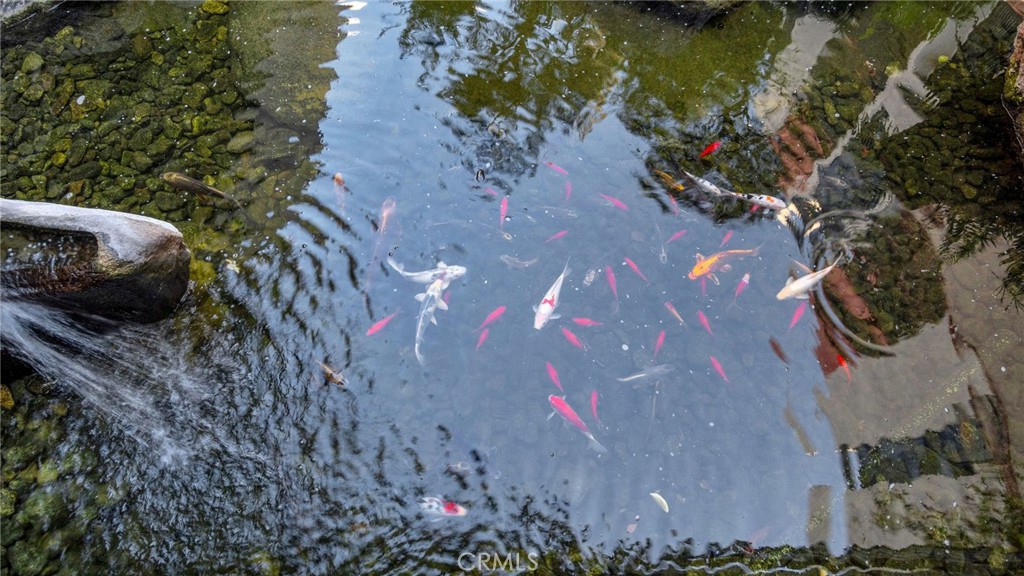 222 South Central Avenue, Unit 432 Los Angeles, CA 90012 - Photo 28 of 32 Japanese Koi Pond