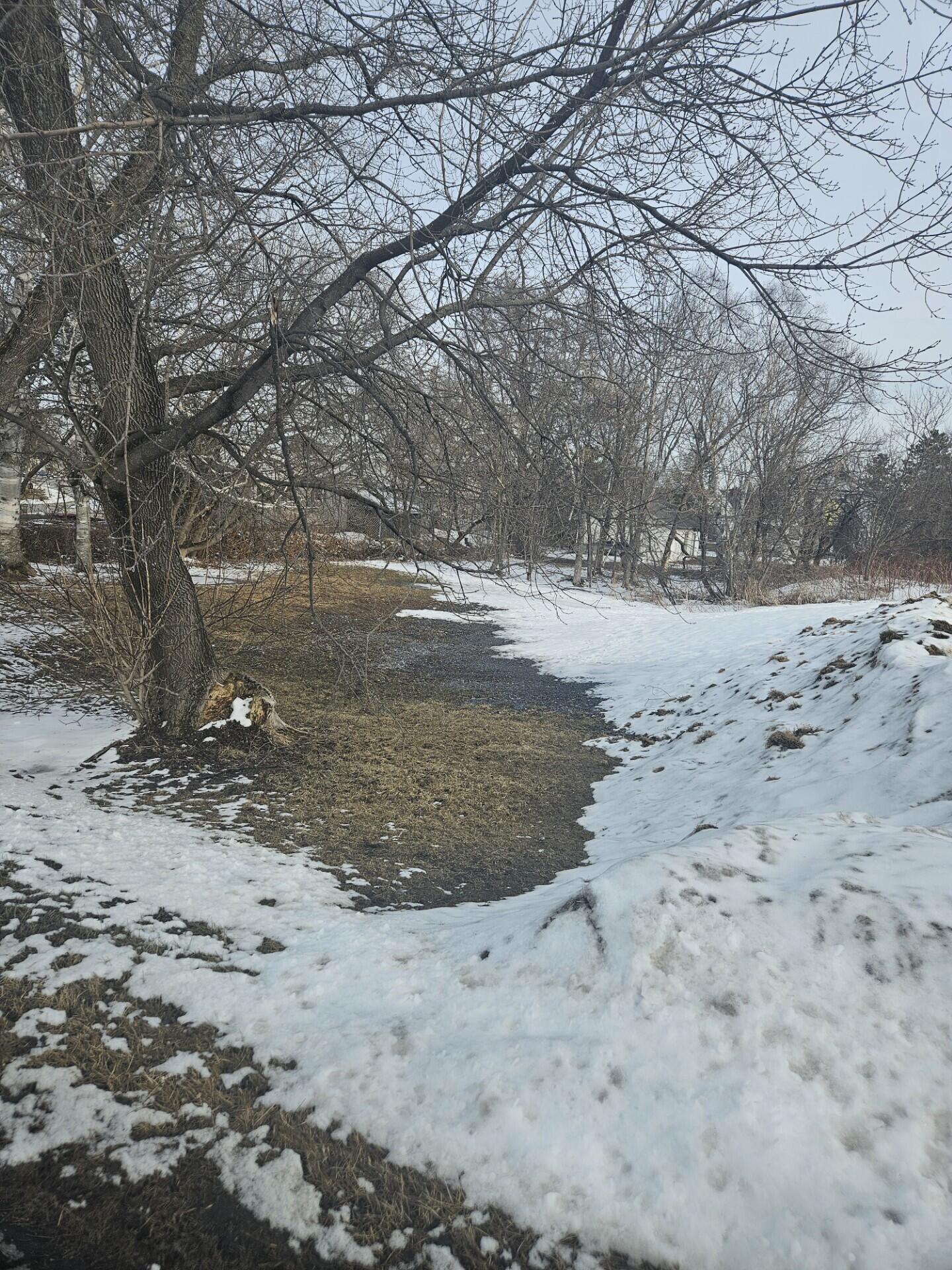 6 Short Street Caribou, ME 04736 - Photo 2 of 2 6 Short 02