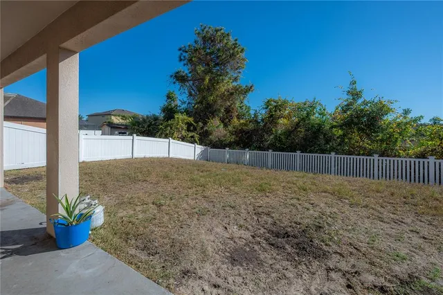 a view of backyard with potted plants