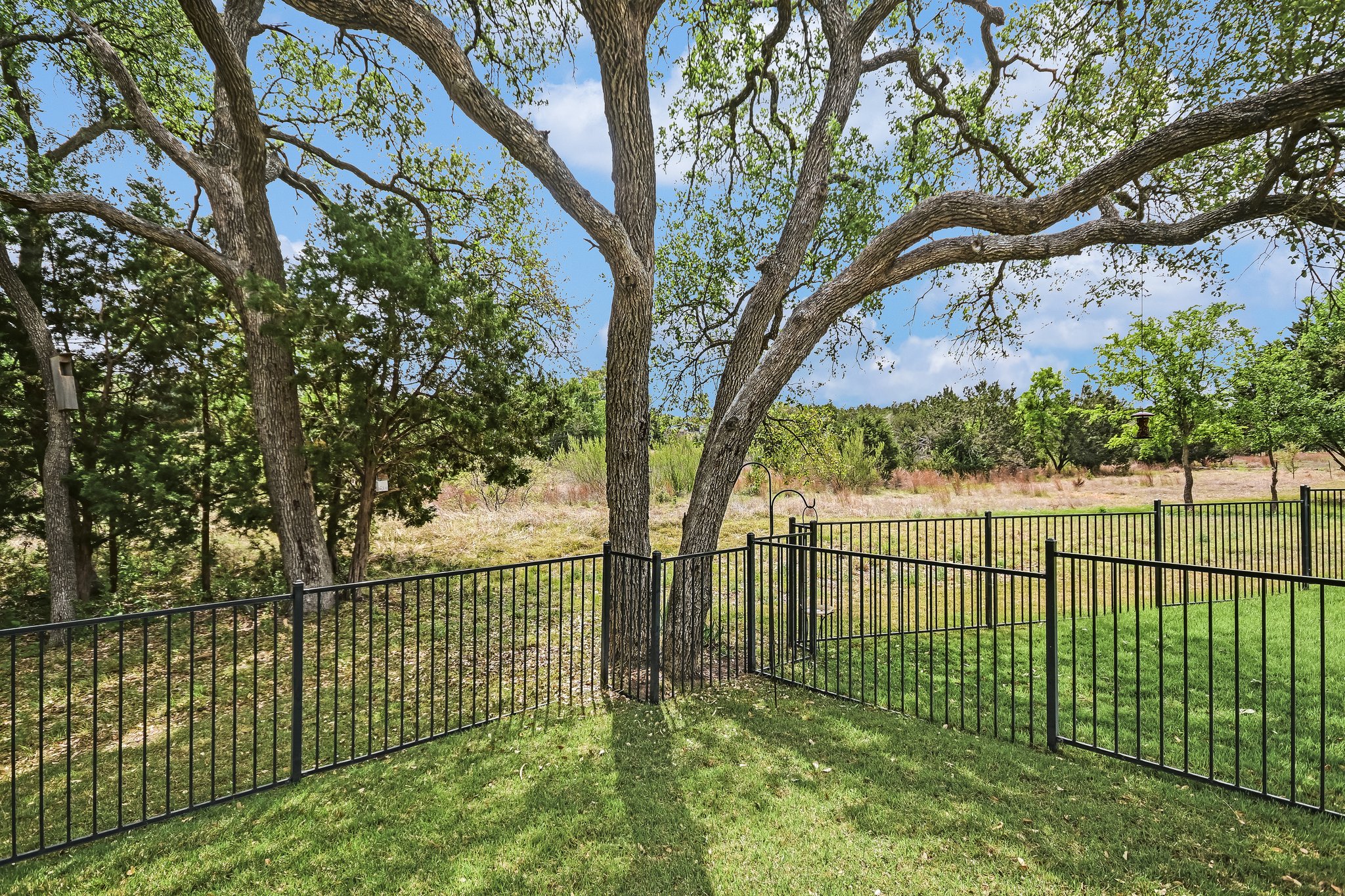 304 Coffee Mill Creek Road Georgetown, TX 78633 - Photo 26 of 30 View of yard and greenbelt