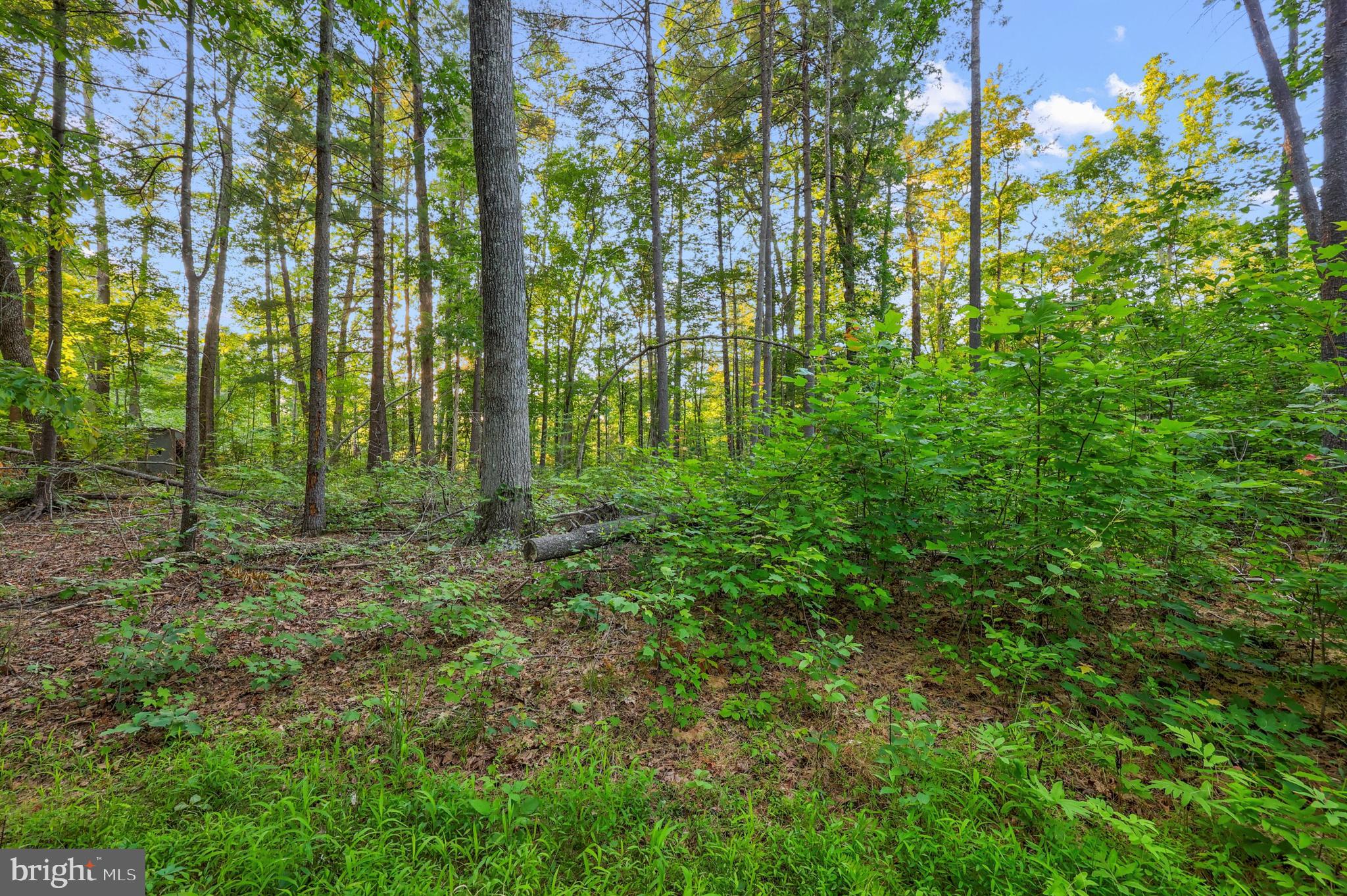 Lot 27-66b Kovi Ridge Trail Reva, VA 22735 - Photo 20 of 20