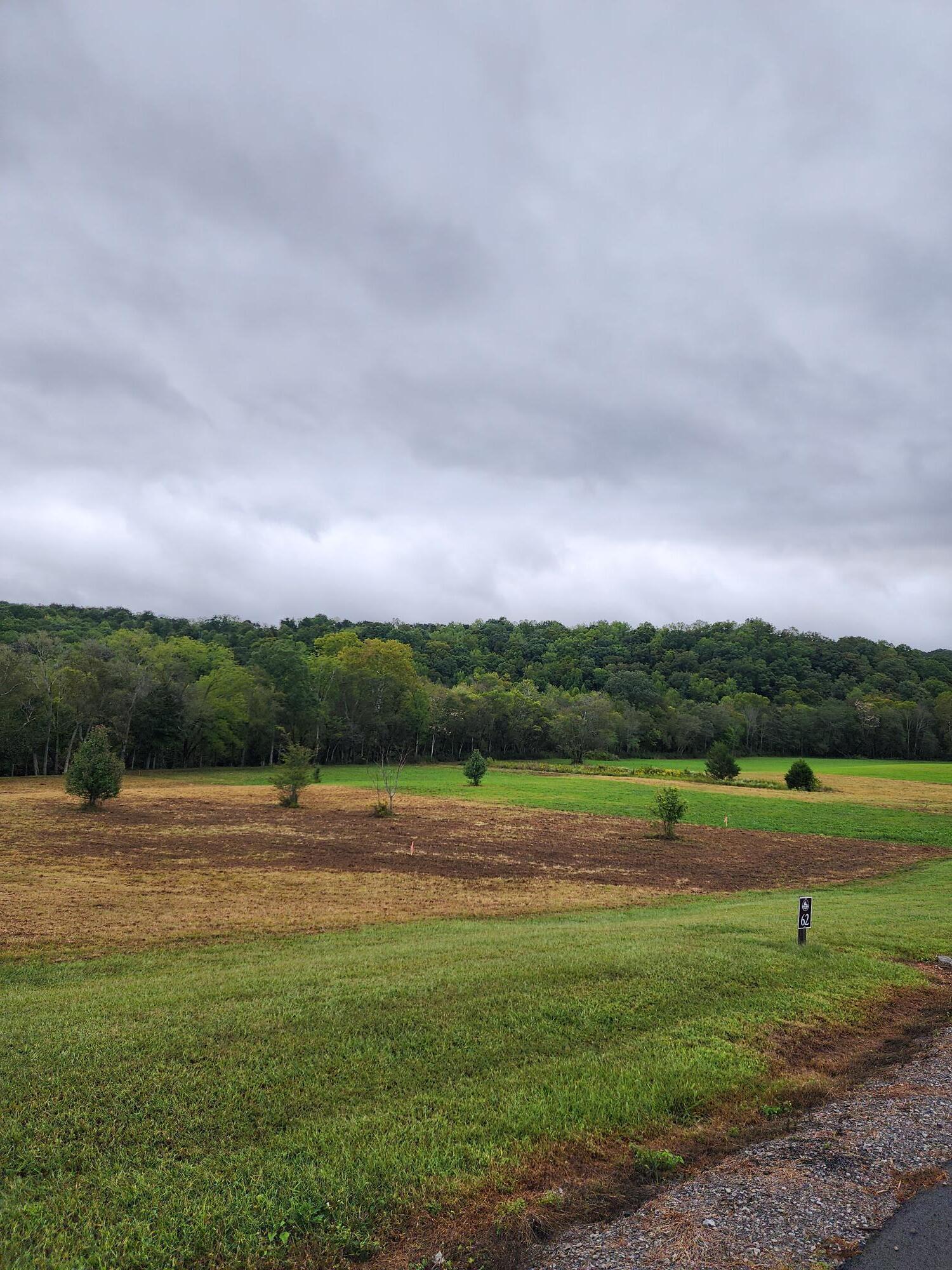 62 River Ridge Drive Dunlap, TN 37327 - Photo 2 of 11 Lot 62