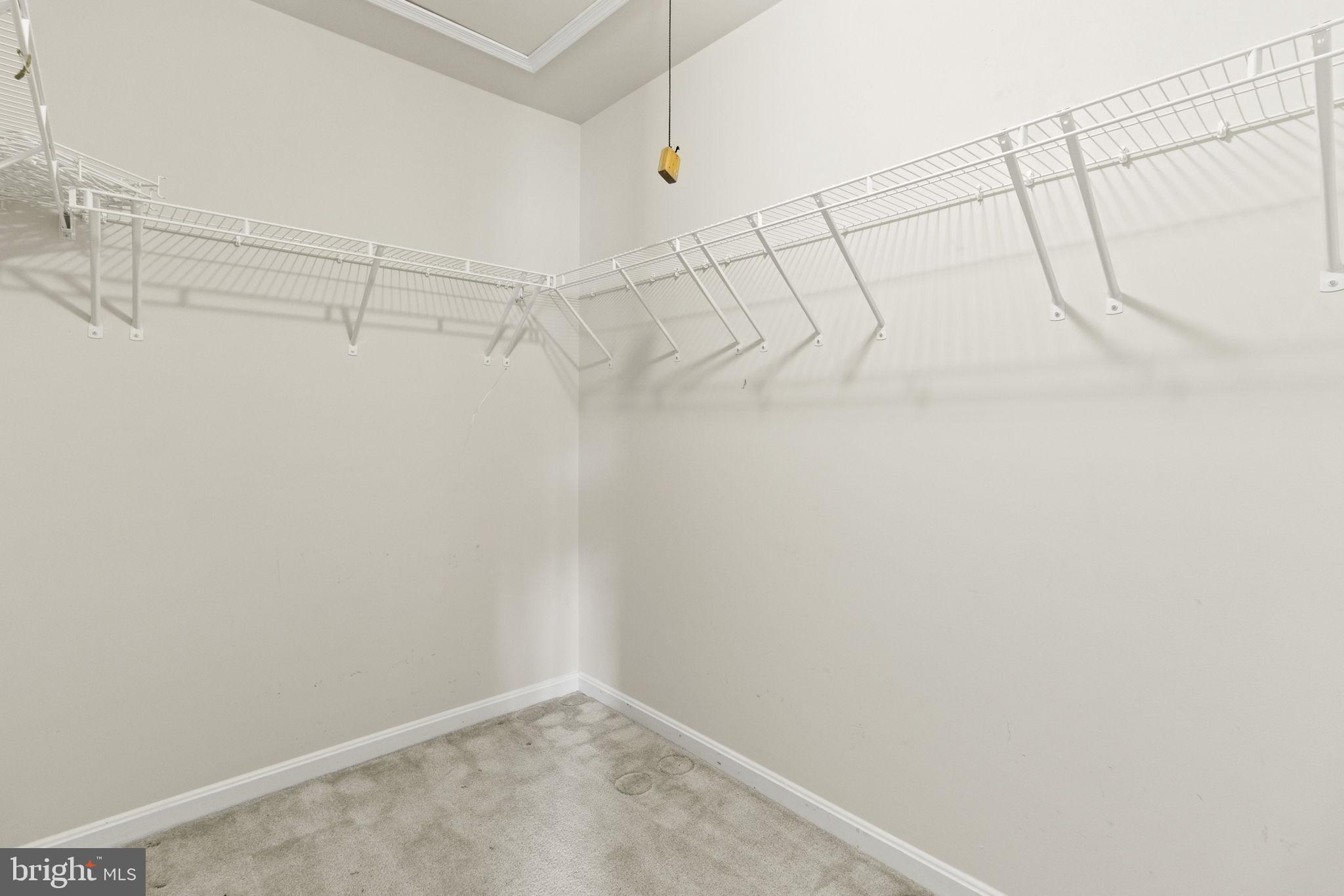 9808 Smithview Place Lanham, MD 20706 - Photo 14 of 22 Large walk-in