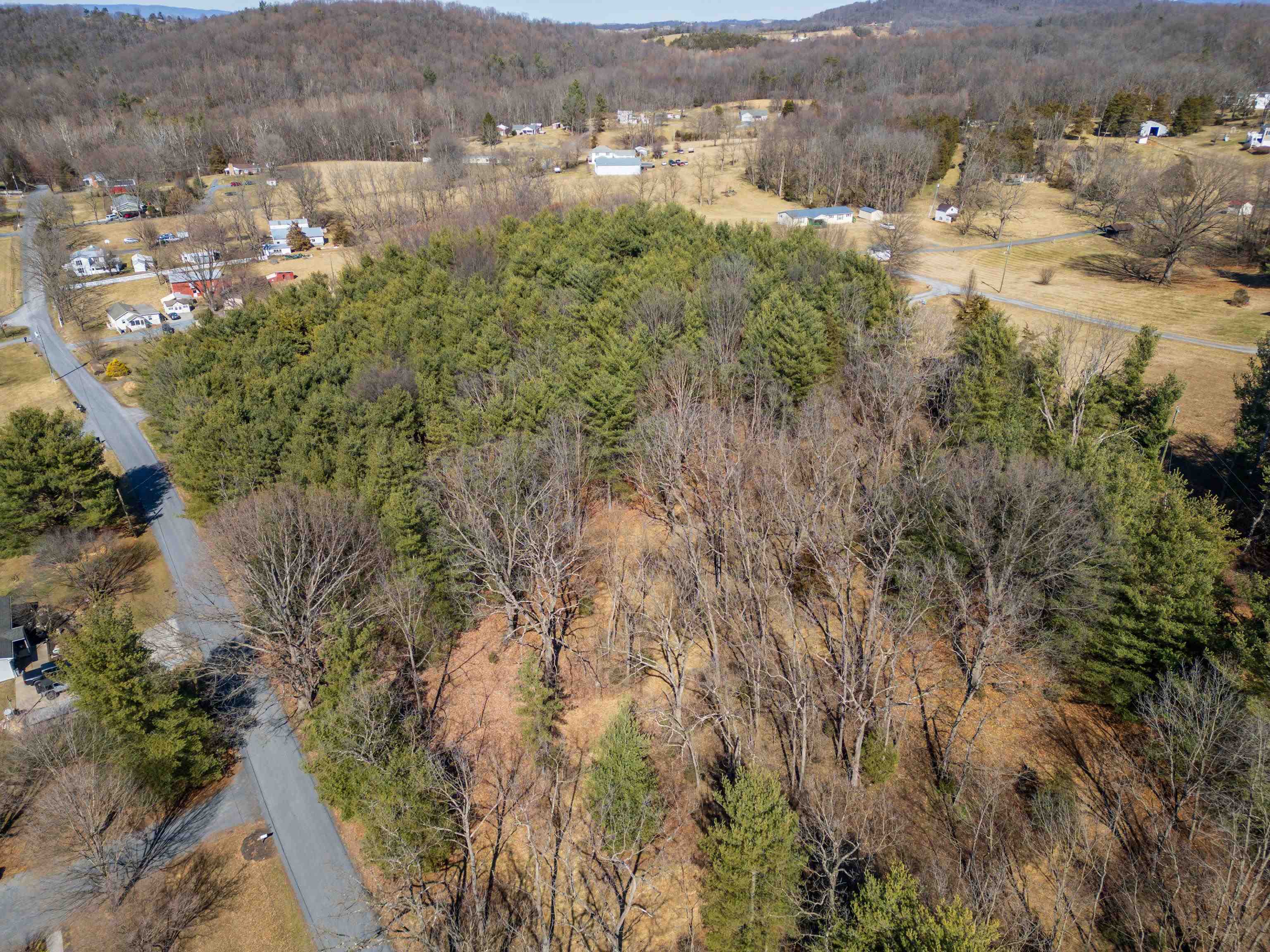 Tbd Fairview Road Mount Crawford, VA 22841 - Photo 15 of 16 a view of a forest with a street