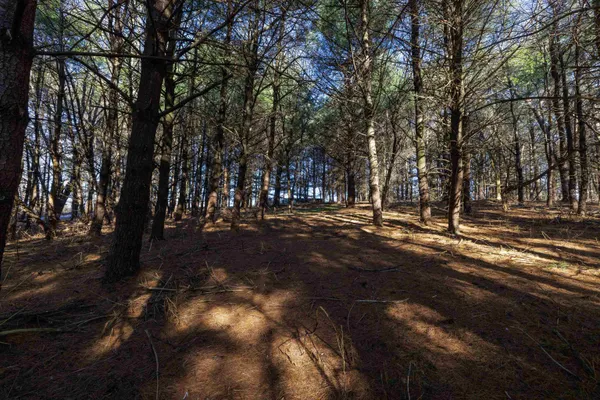 $181,000 | Tbd Fairview Road, Mount Crawford, VA 22841