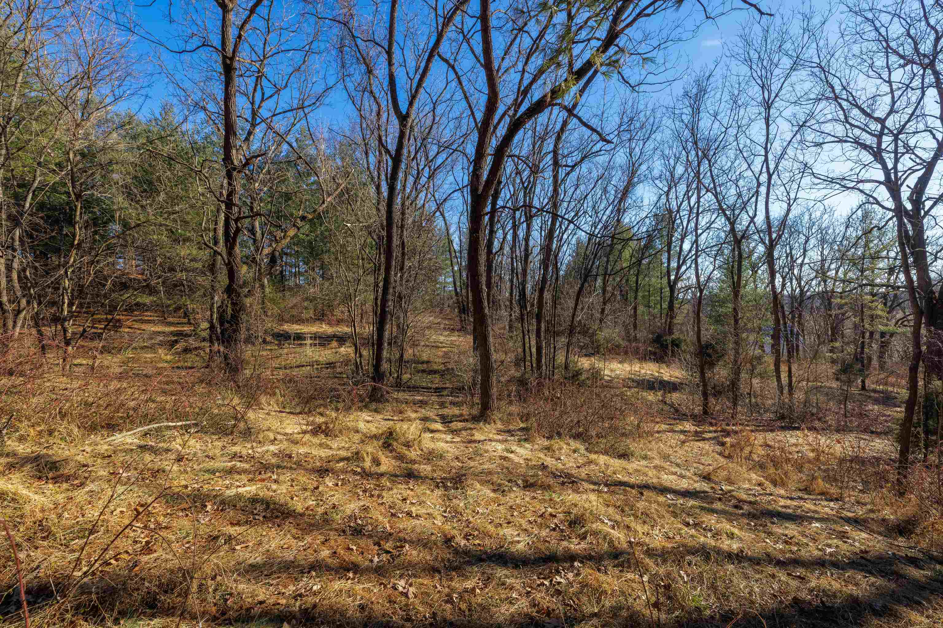 Tbd Fairview Road Mount Crawford, VA 22841 - Photo 4 of 16 a view of a yard with trees