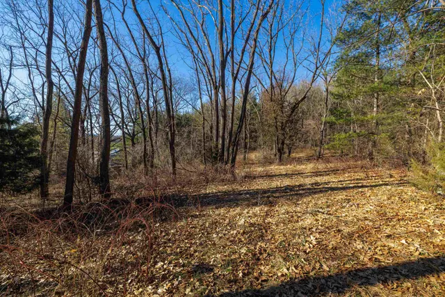 a view of a yard with trees