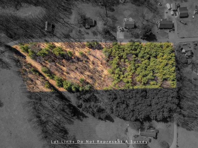 a view of a garden with a pathway