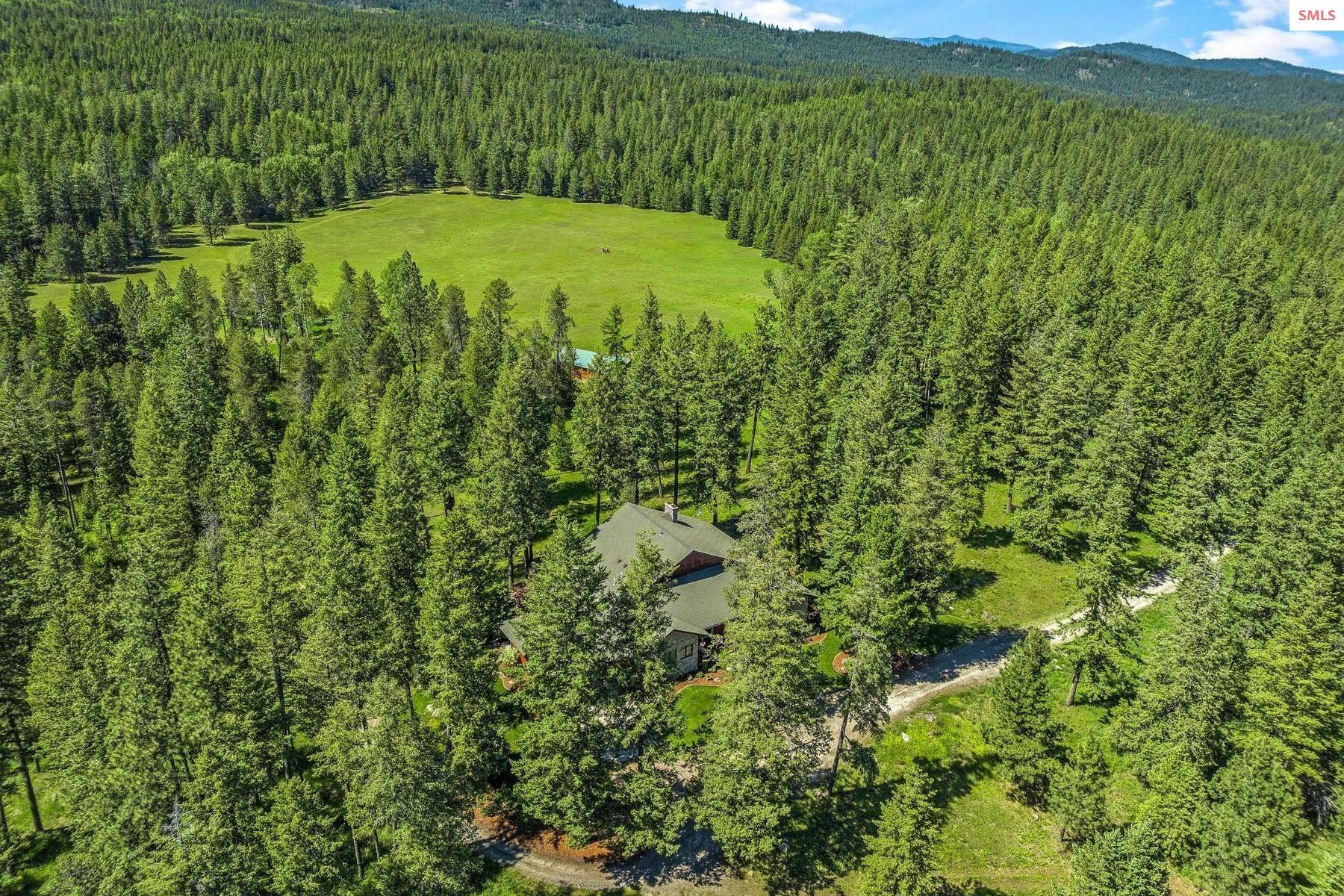 526 Roop Road Cocolalla, ID 83813 - Photo 95 of 100 View to the northwest