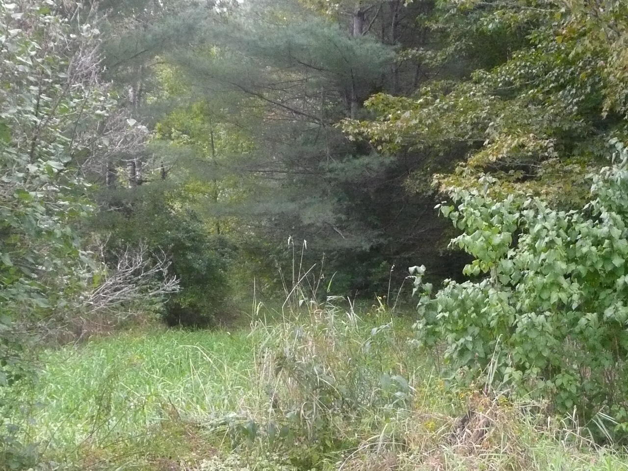 987 Douty Hill Road Sangerville, ME 04479 - Photo 44 of 44 P1050503