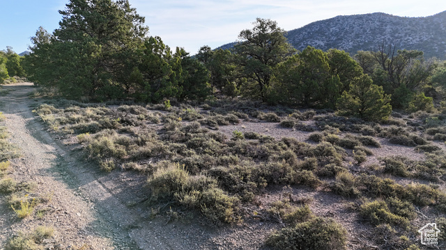 123 Tbd Prout Wash Road North Cedar City, UT 84721 - Photo 26 of 82