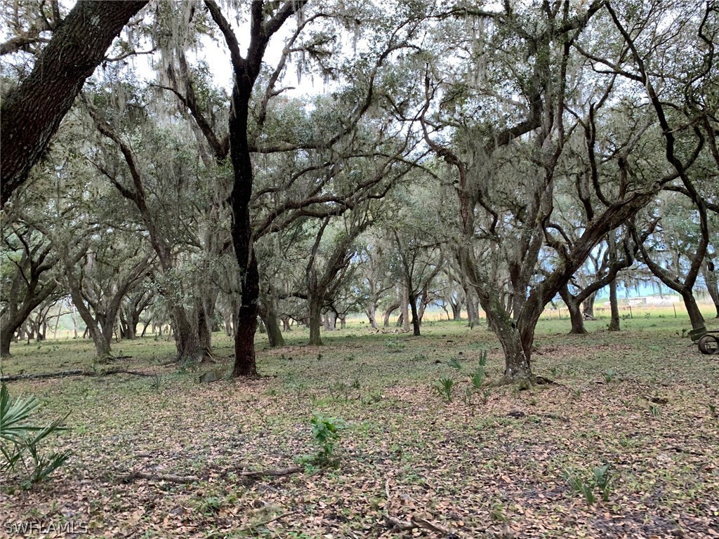 12241 Southwest Gordon Hay Road Arcadia, FL 34266 - Photo 11 of 16 Gallery Image 11