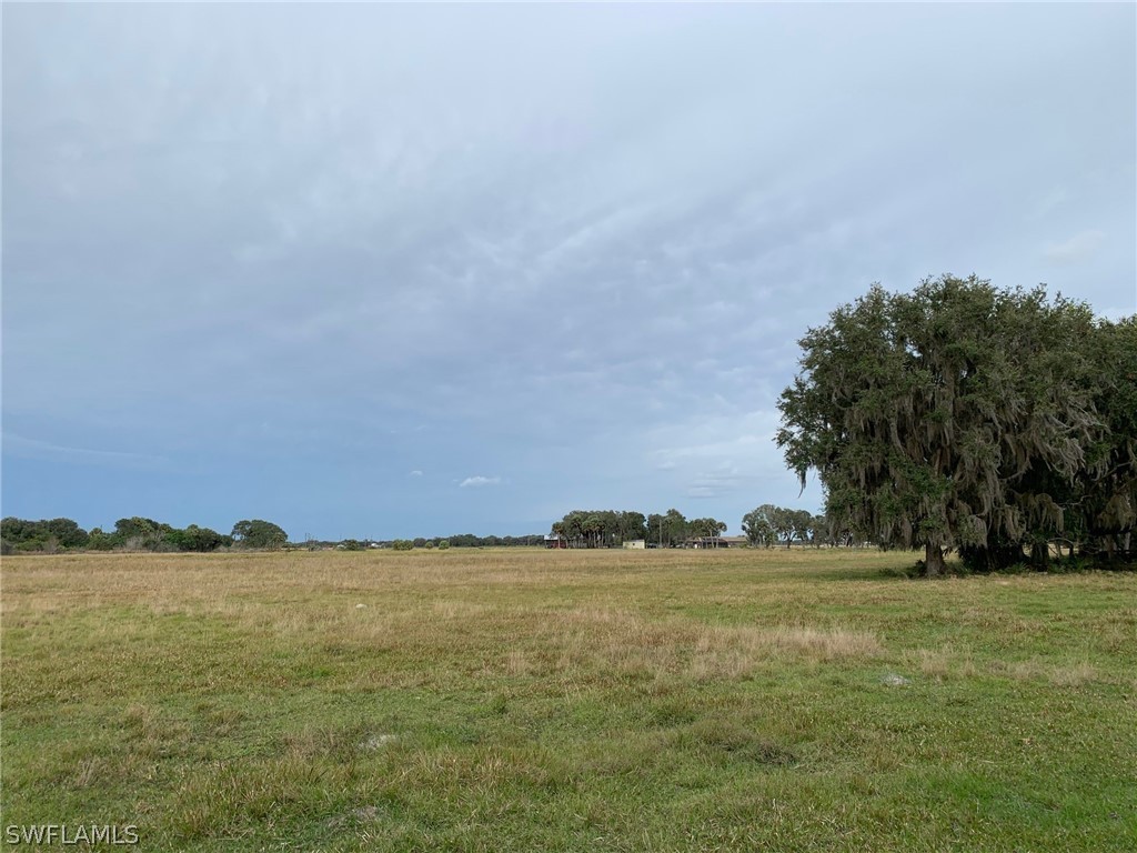 12241 Southwest Gordon Hay Road Arcadia, FL 34266 - Photo 12 of 16 Gallery Image 12