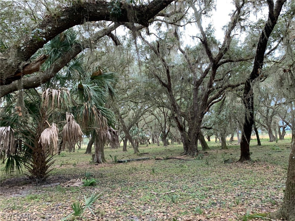 12241 Southwest Gordon Hay Road Arcadia, FL 34266 - Photo 13 of 16 Gallery Image 13