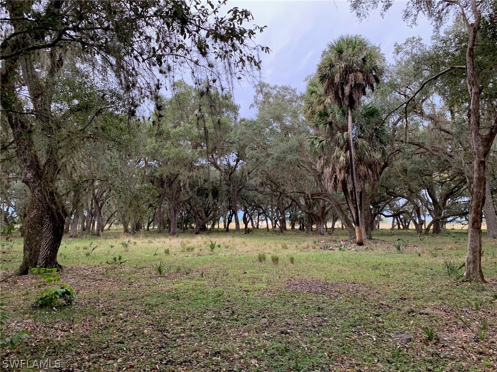 12241 Southwest Gordon Hay Road Arcadia, FL 34266 - Photo 15 of 16 Gallery Image 15