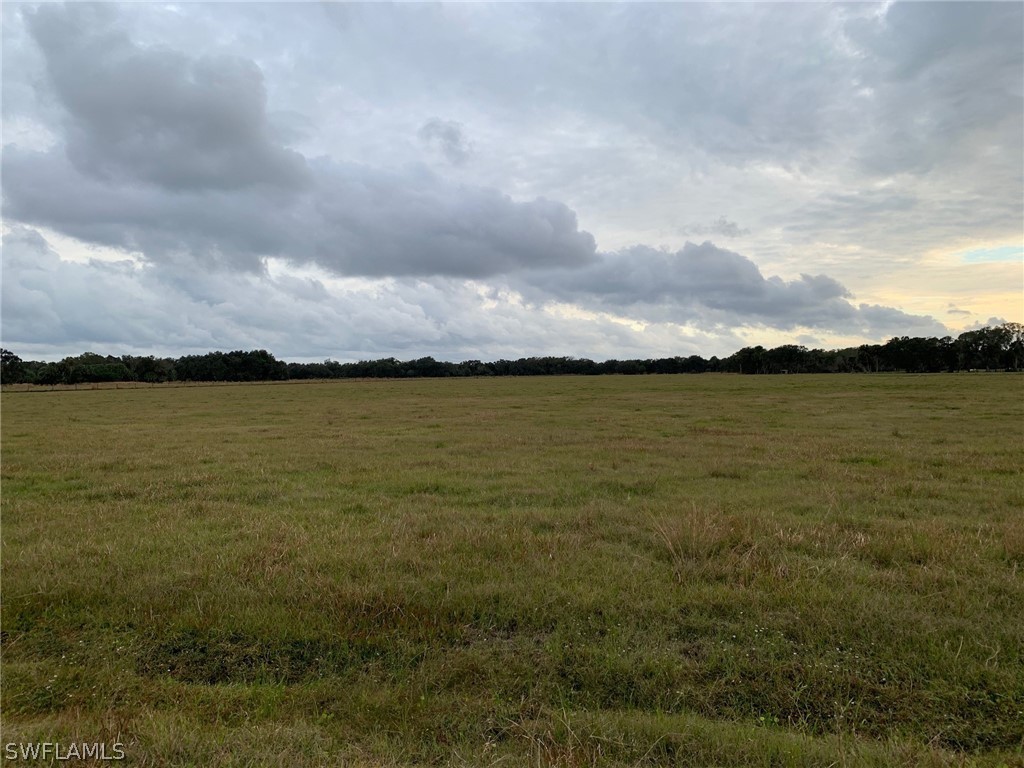 12241 Southwest Gordon Hay Road Arcadia, FL 34266 - Photo 16 of 16 Gallery Image 16
