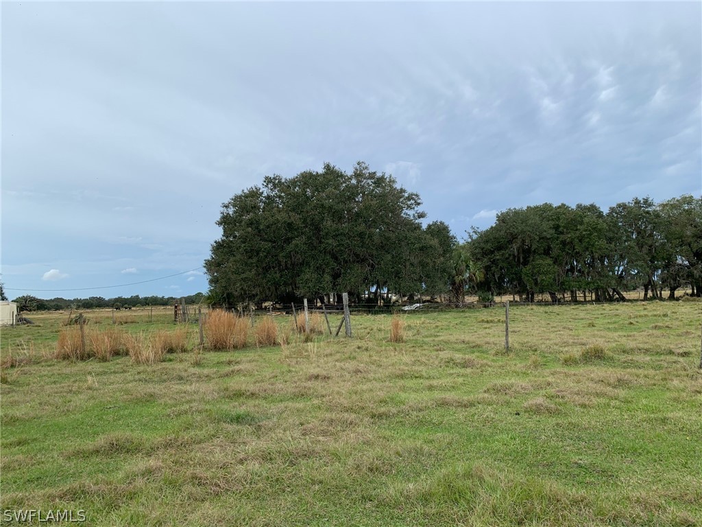 12241 Southwest Gordon Hay Road Arcadia, FL 34266 - Photo 3 of 16 Gallery Image 3