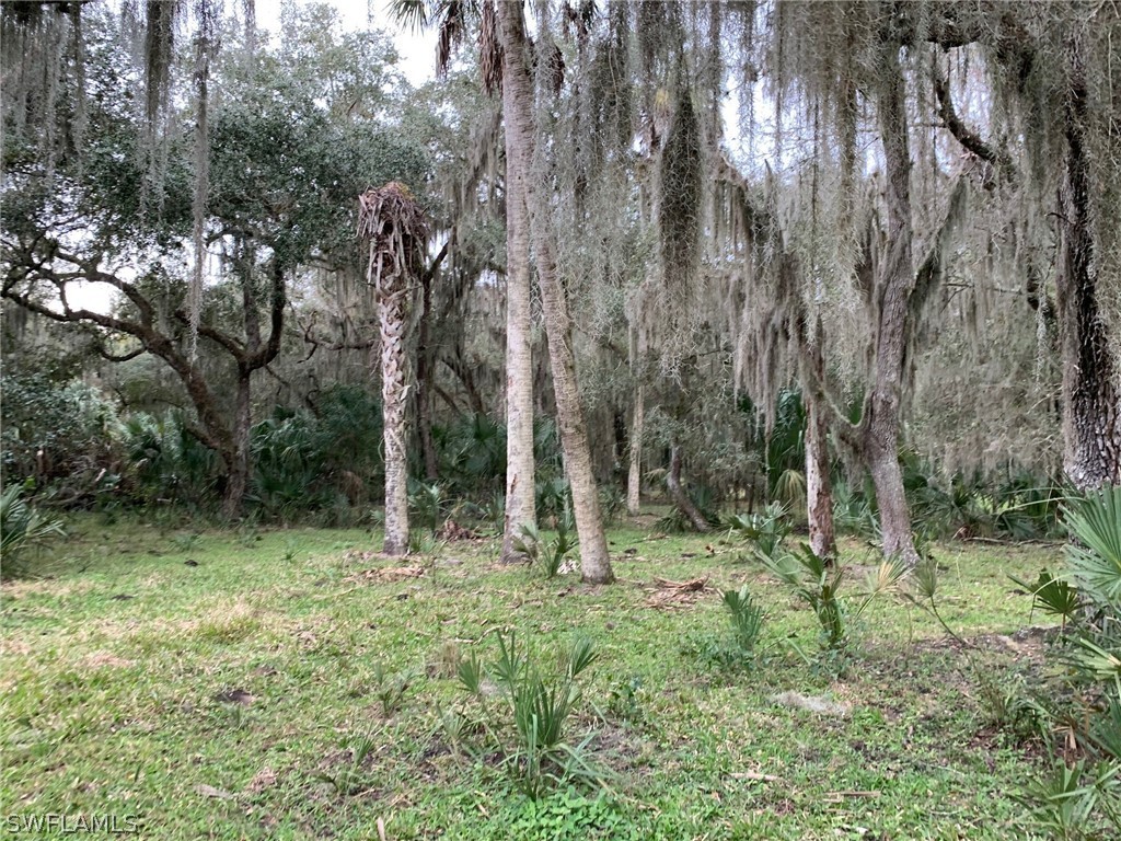 12241 Southwest Gordon Hay Road Arcadia, FL 34266 - Photo 4 of 16 Gallery Image 4