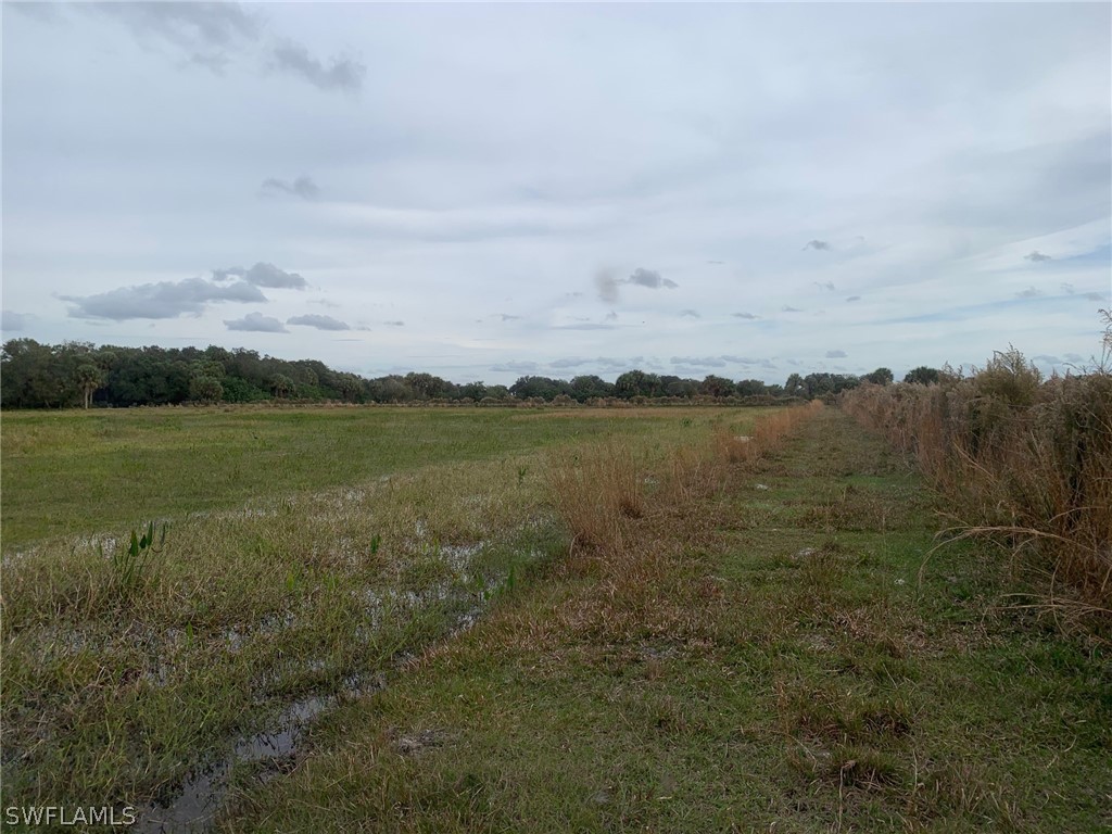 12241 Southwest Gordon Hay Road Arcadia, FL 34266 - Photo 5 of 16 Gallery Image 5