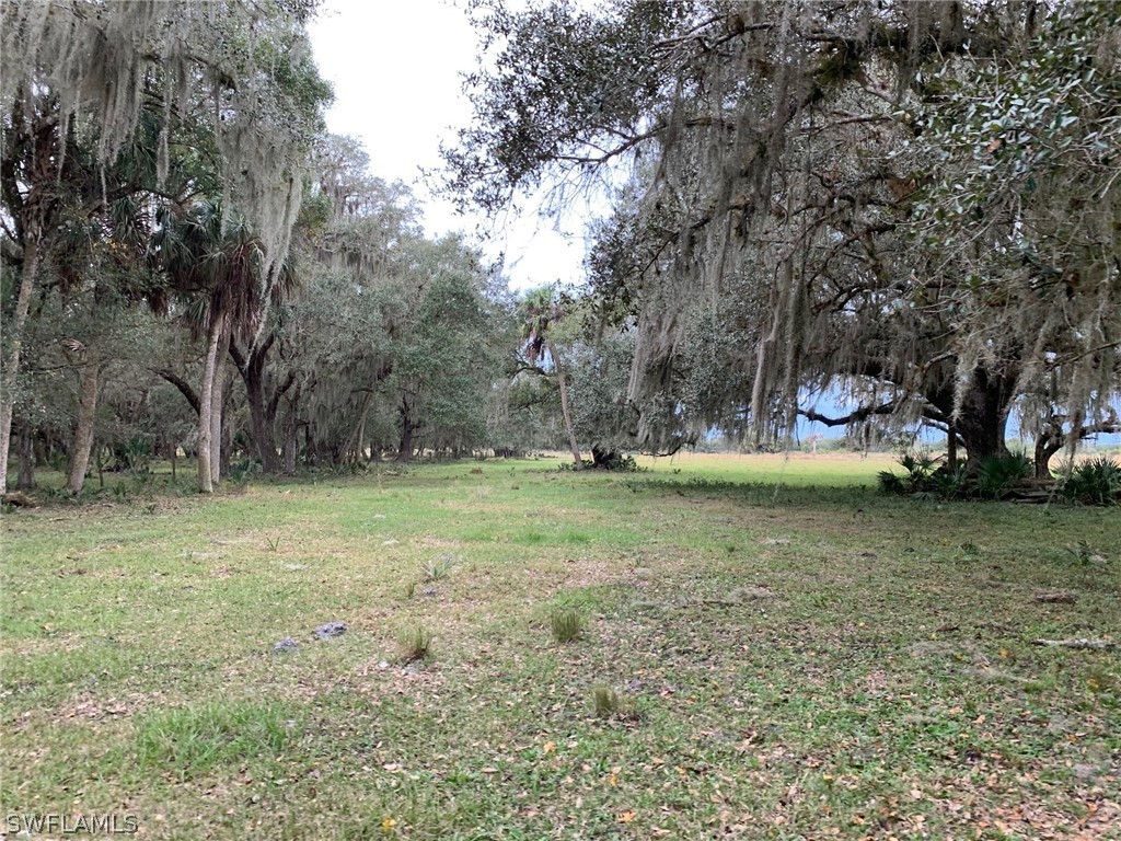 12241 Southwest Gordon Hay Road Arcadia, FL 34266 - Photo 8 of 16 Gallery Image 8