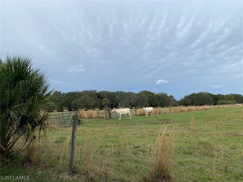 12241 Southwest Gordon Hay Road Arcadia, FL 34266 - Photo 9 of 16 Gallery Image 9
