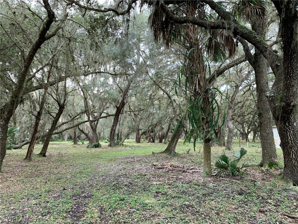 12241 Southwest Gordon Hay Road Arcadia, FL 34266 - Photo 10 of 16 Gallery Image 10