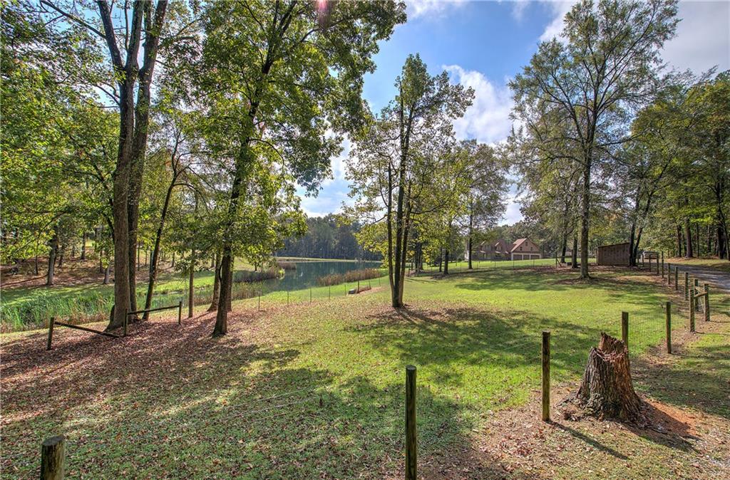 566 Old Grade Road Resaca, GA 30735 - Photo 42 of 48 a view of a yard with a tree