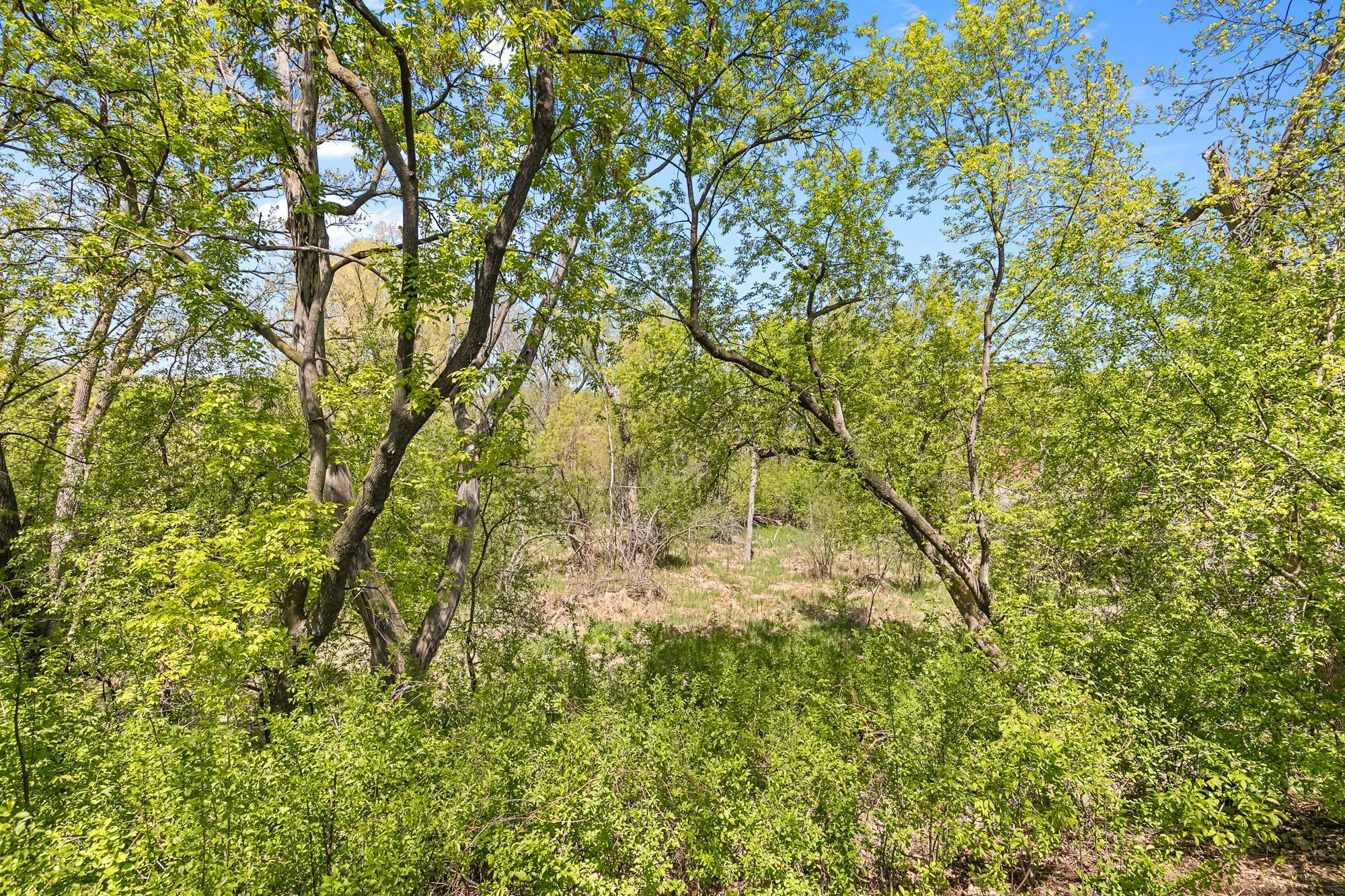 1221 County Rd D East Vadnais Heights, MN 55109 - Photo 5 of 36