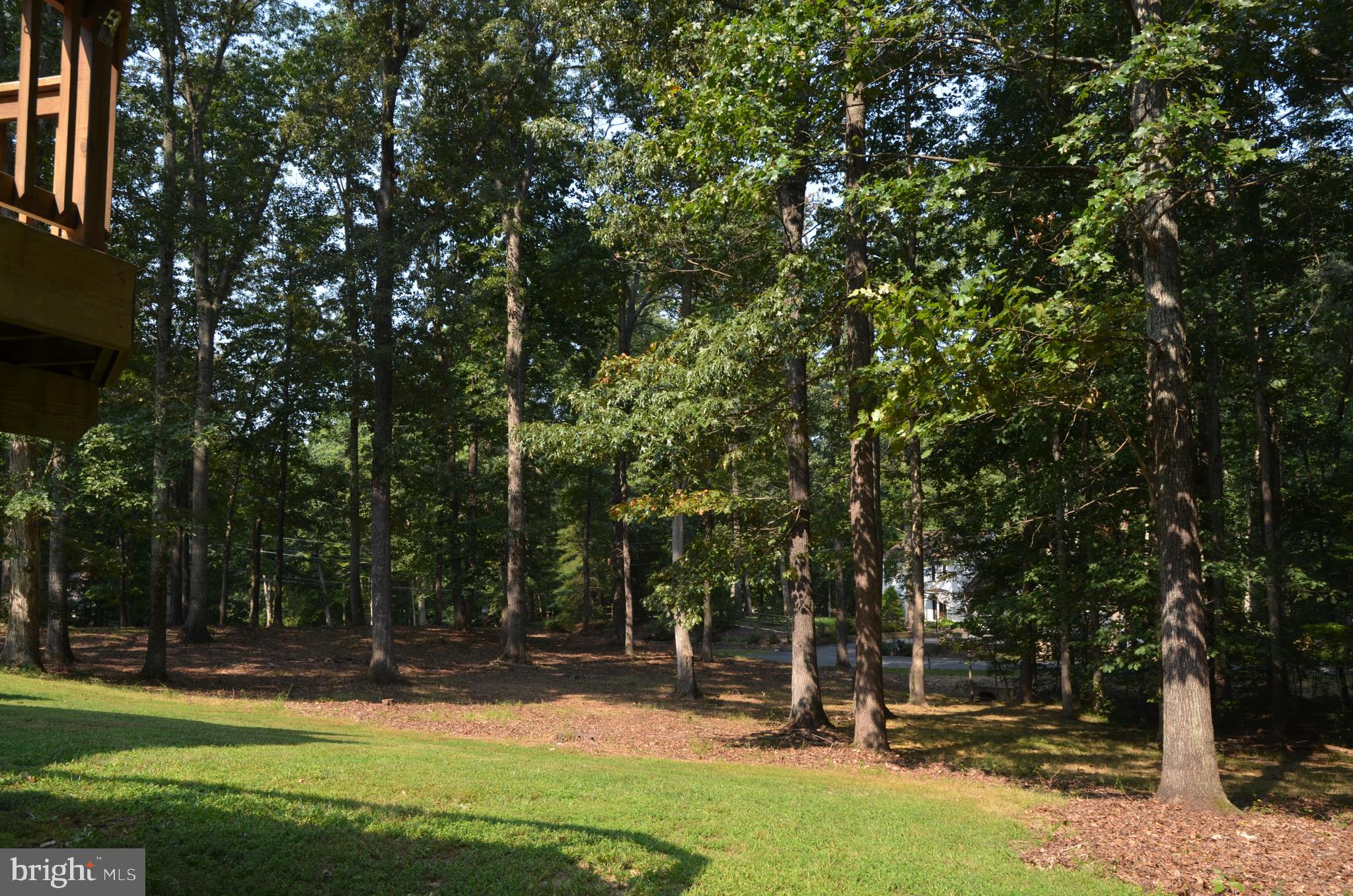 8055 Stillbrooke Road Manassas, VA 20112 - Photo 36 of 36 Rear Yard
