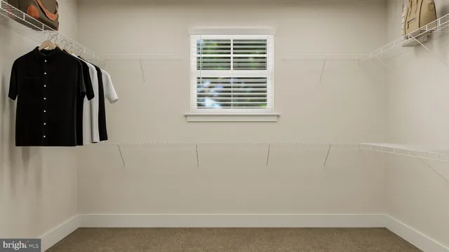 a bathroom with a window and a shower