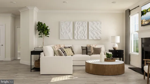 a living room with furniture and a potted plant