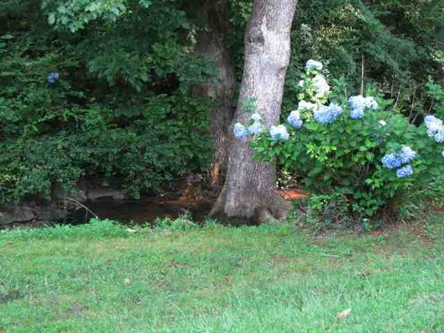 108 Lullwater Road Greenville, SC 29607 - Photo 9 of 9 Gallery Image 9