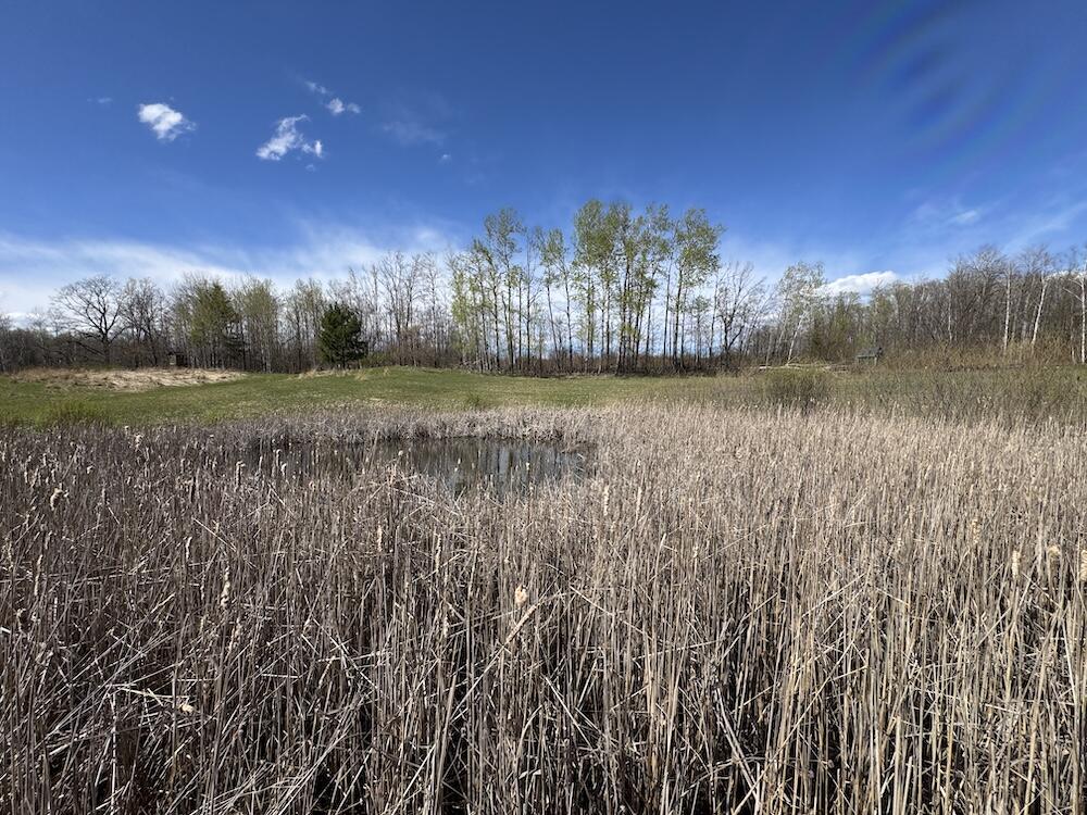 Vl Curtisville Road Mio, MI 48647 - Photo 60 of 141 IMG_2290