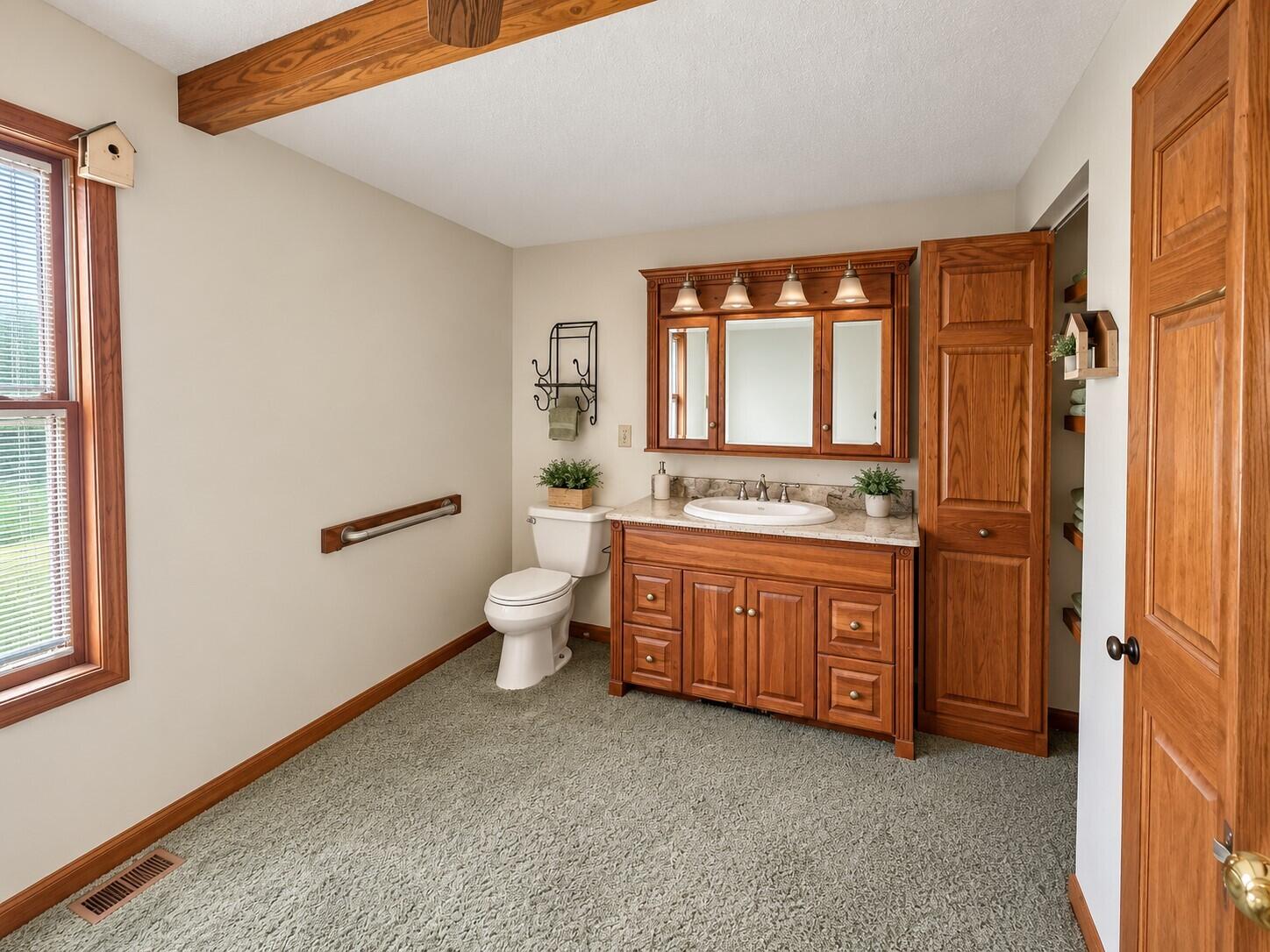 502 County Line Road Cement City, MI 49233 - Photo 20 of 27 bathroom 2