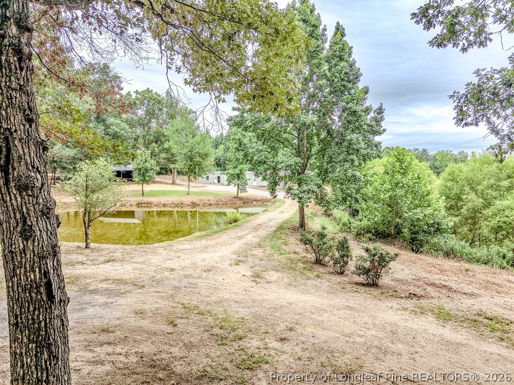 2957 Cypress Church Road Cameron, NC 28326 - Photo 37 of 48 Driveway View toward Pond and Shop