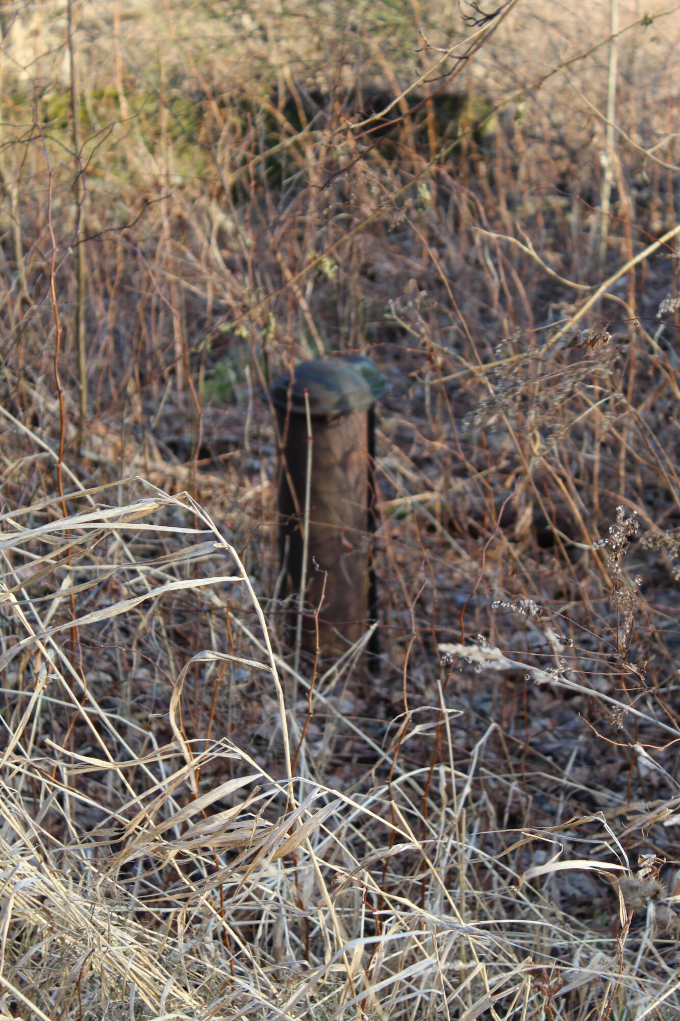 70 Skyscraper Hill Road Brooks, ME 04921 - Photo 12 of 16 IMG_0841