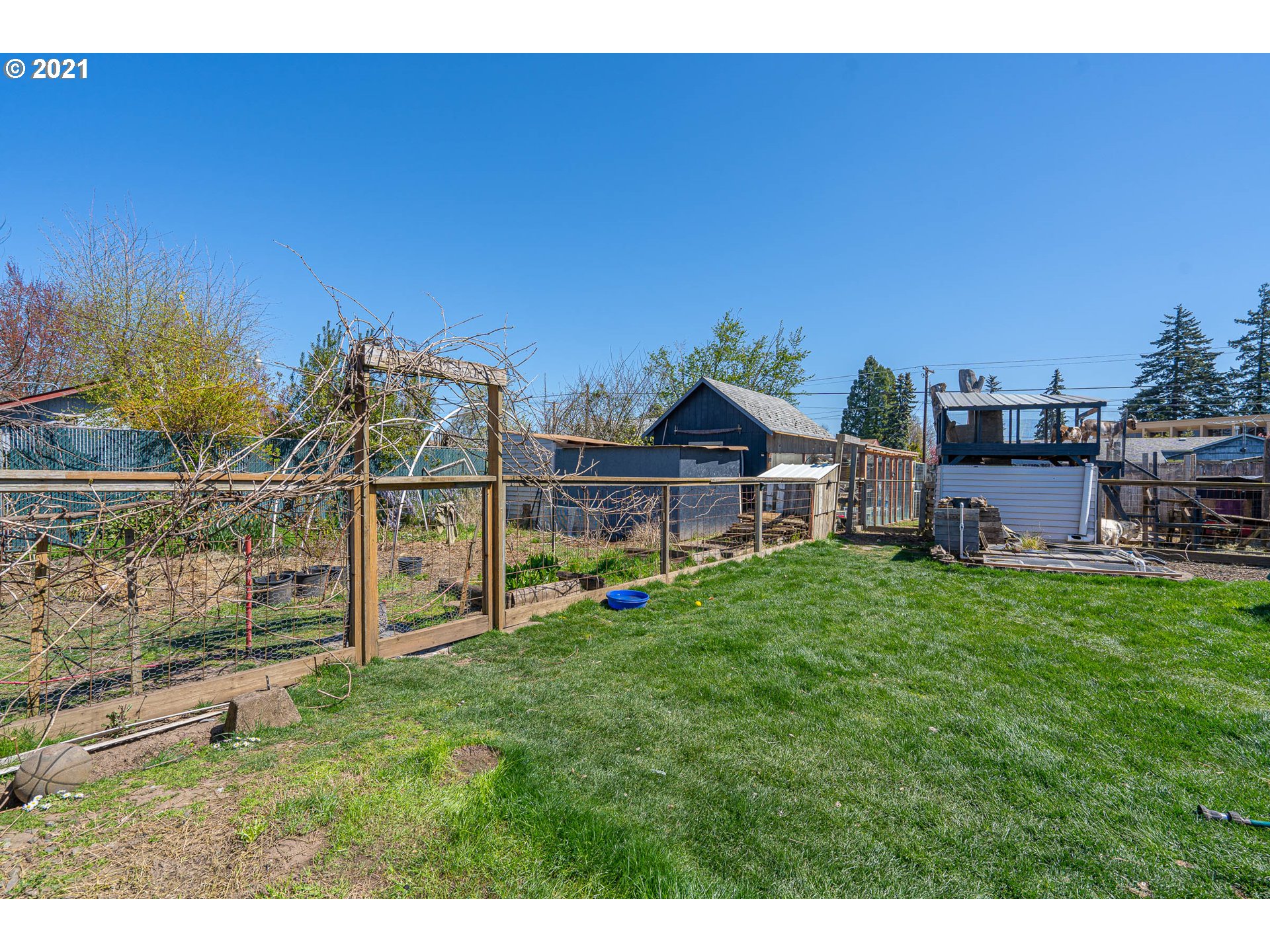 1639 16th Street Springfield, OR 97477 - Photo 28 of 31