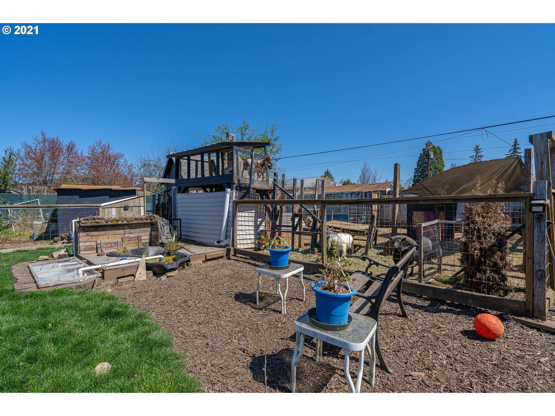 1639 16th Street Springfield, OR 97477 - Photo 29 of 31