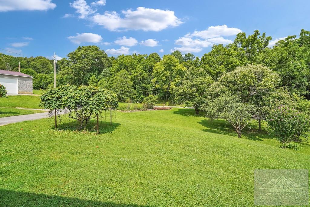 250 Robertson Mountain Road Narrows, VA 24124 - Photo 30 of 40 Gallery Image 30