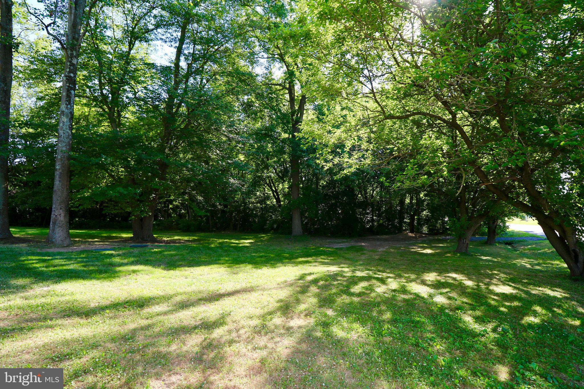 236 Ruritan Lane Viola, DE 19979 - Photo 5 of 29 Gallery Image 5