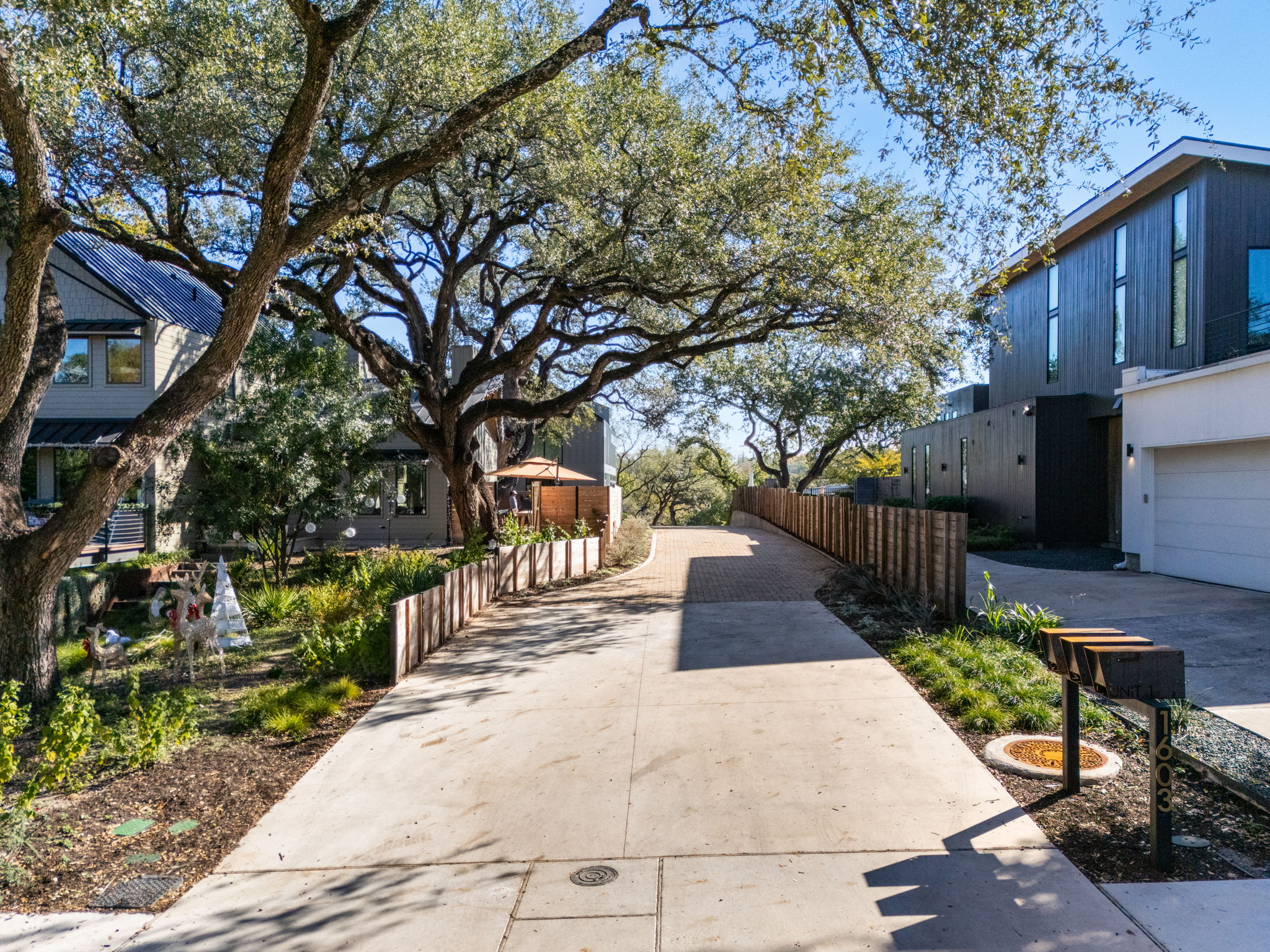 1603 Chelsea Lane, Unit 1 Austin, TX 78704 - Photo 33 of 34 Mature shade trees frame a long paved driveway leading past contemporary multi-level homes.